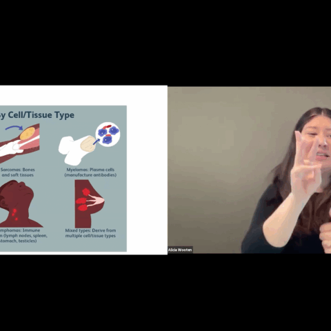A split screen shows a woman using sign language on the right, and a presentation slide titled "Types of Cancer" on the left. The slide categorizes cancers by cell/tissue type with six illustrative diagrams.