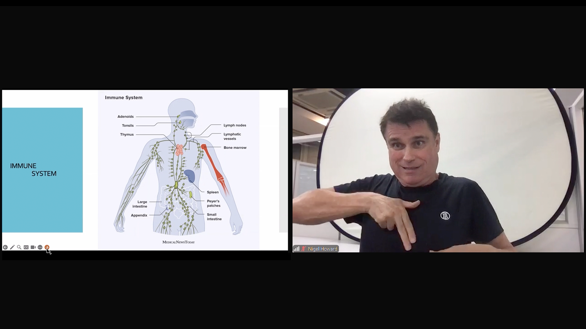 A screen recording showing a man, identified as Nigel Howard, in a black t-shirt pointing down toward his chest while speaking. To his left is a slide with the title "Immune System." The slide features a labeled diagram of the human lymphatic system, showing the lymphatic vessels and key organs like the adenoids, tonsils, thymus, spleen, appendix, Peyer's patches (in the small intestine), lymph nodes, and bone marrow. The left side of the slide has a solid light blue background with the words "IMMUNE SYSTEM" centered vertically.