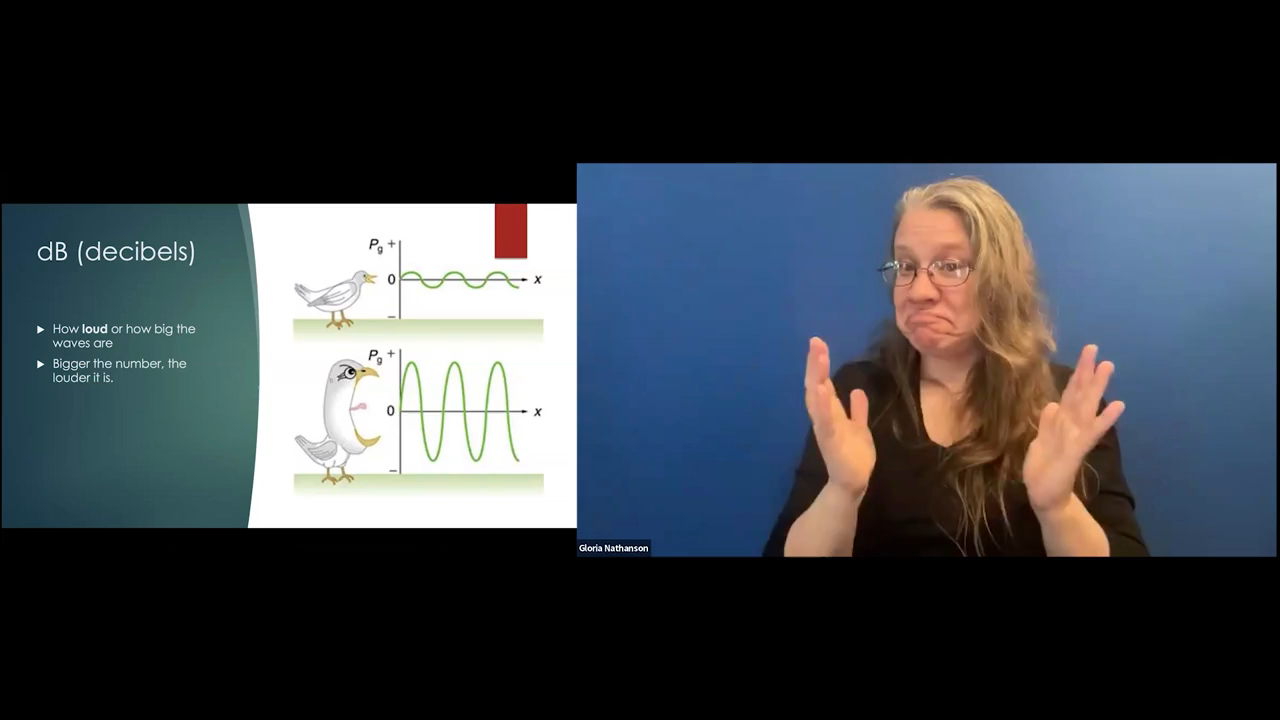 The image features a presentation slide titled "dB (decibels)" that uses illustrations of birds and wave amplitudes to explain loudness. On the right side of the screen, the presenter, Gloria Nathanson, is shown from the chest up gesturing with open hands against a blue background.