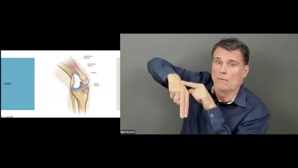 In this screenshot, the left side displays an anatomical diagram of a knee joint detailing the quadriceps, patella, and tendons next to a blue block labeled "KNEE". On the right side, Nigel Howard uses a hand to visually demonstrate the mechanics and structure of the joint.