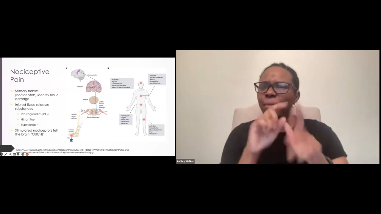 A split-screen video capture showing a presentation slide titled "Nociceptive Pain" with medical diagrams on the left, and the presenter, Ashley Walker,